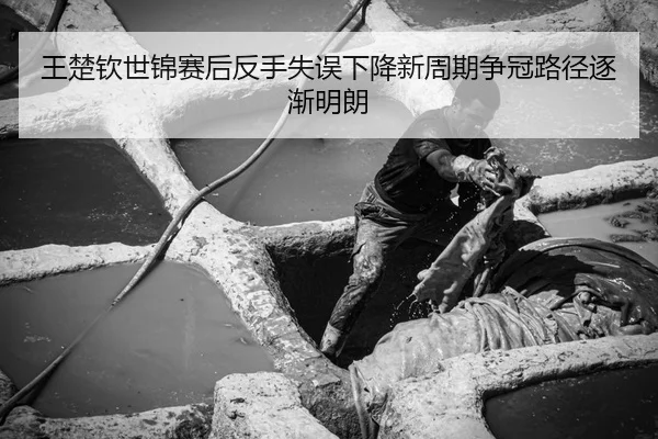 王楚钦世锦赛后反手失误下降新周期争冠路径逐渐明朗